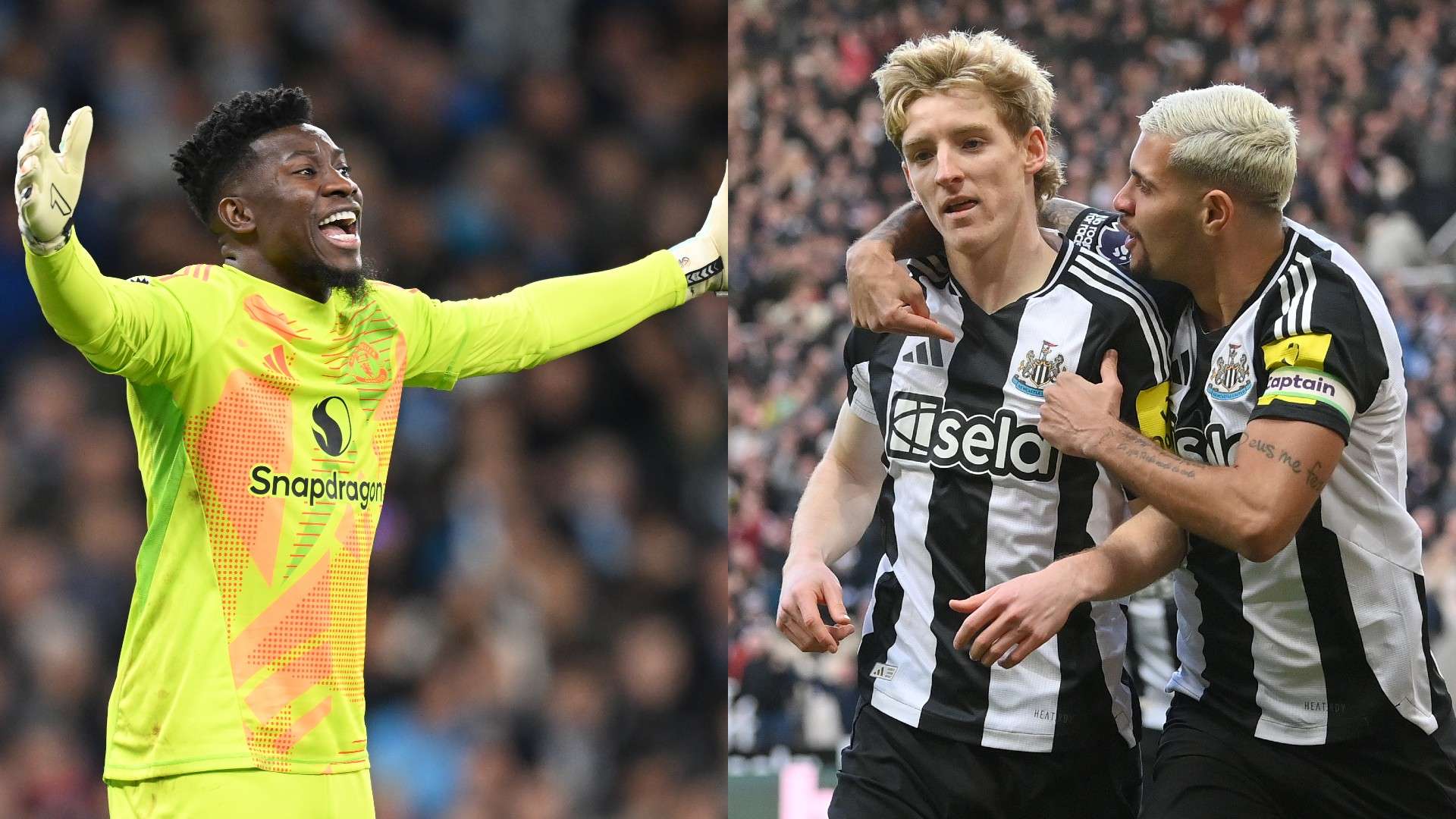 这些城市因 这些城市因