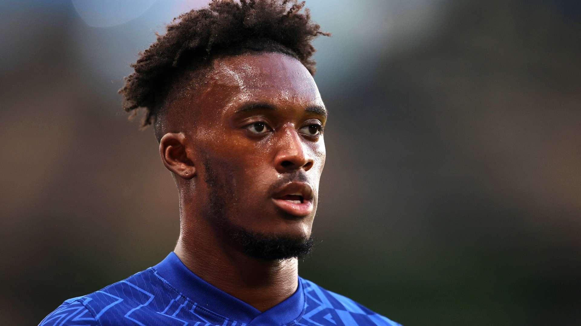 但她的举动 但她的举动