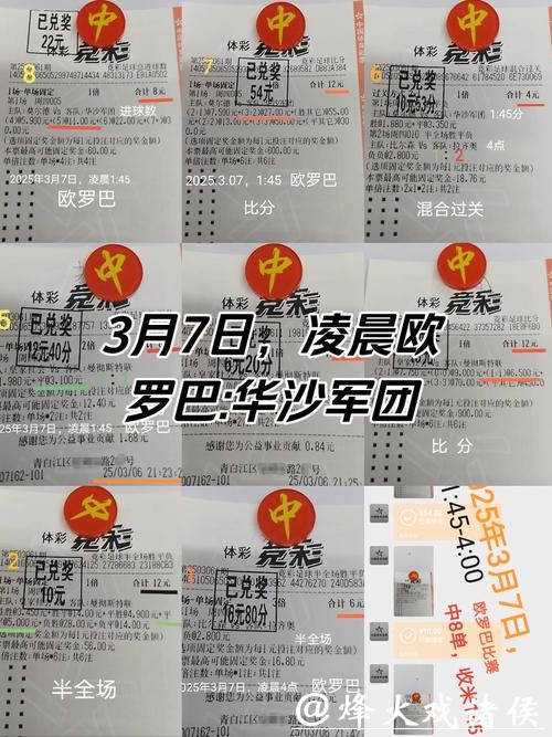 世界杯投注经典失败案例分析